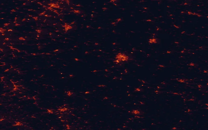 Satellite night-light map of the 100 km around Habichtswald Nature Park, with Kassel, Bielefeld and Paderborn marked