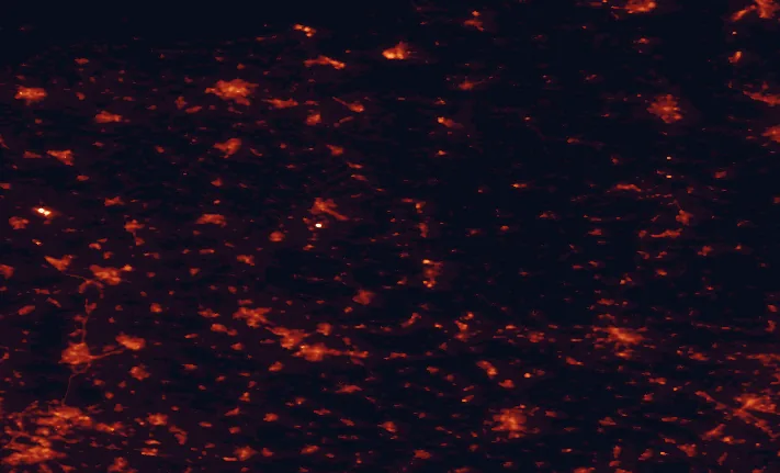 Satellite night-light map of the 100 km around Bourtanger Moor-Bargerveen Nature Park, with Münster, Groningen and Bielefeld marked