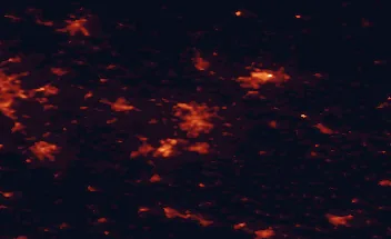 Satellite night-light map of the 50 km around Braunschweig, with Salzgitter, Wolfsburg and Wolfenbüttel marked