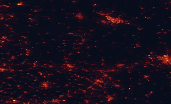 Satellite night-light map of the 100 km around Dümmer Nature Park, with Bremen, Bielefeld and Münster marked