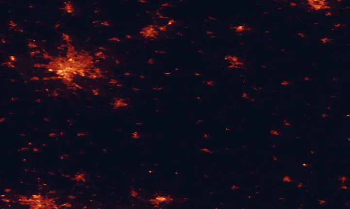 Satellite night-light map of the 100 km around Elbtalaue National Park, with Hamburg, Lübeck and Rostock marked