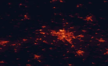 Satellite night-light map of the 50 km around Garbsen, with Hannover, Langenhagen and Hildesheim marked