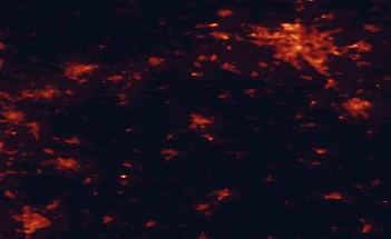 Satellite night-light map of the 50 km around Hameln, with Hannover, Paderborn and Hildesheim marked