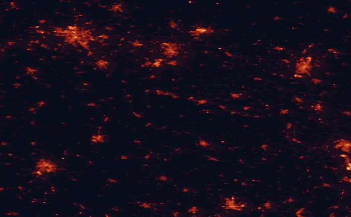 Satellite night-light map of the 100 km around Harz National Park, with Hannover, Braunschweig and Magdeburg marked