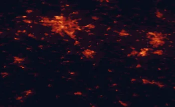 Satellite night-light map of the 50 km around Hildesheim, with Hannover, Braunschweig and Salzgitter marked