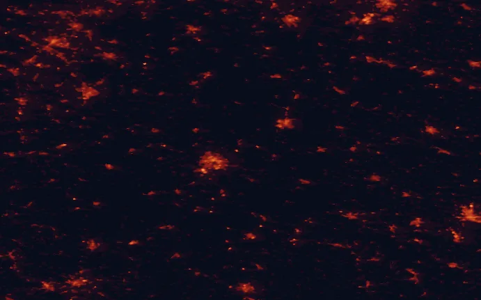 Satellite night-light map of the 100 km around Münden Nature Park, with Kassel, Göttingen and Bielefeld marked