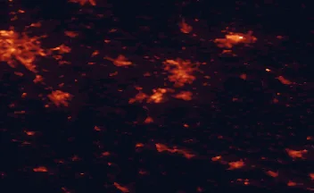 Satellite night-light map of the 50 km around Salzgitter, with Braunschweig, Hannover and Wolfenbüttel marked