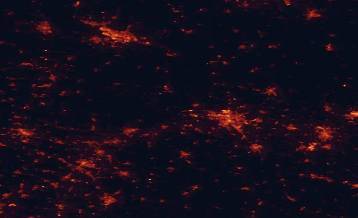 Satellite night-light map of the 100 km around Steinhuder Meer Nature Park, with Hannover, Bremen and Bielefeld marked