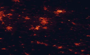 Satellite night-light map of the 50 km around Wolfenbüttel, with Braunschweig, Salzgitter and Wolfsburg marked