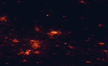 Satellite night-light map of the 50 km around Wolfsburg, with Braunschweig, Salzgitter and Gifhorn marked