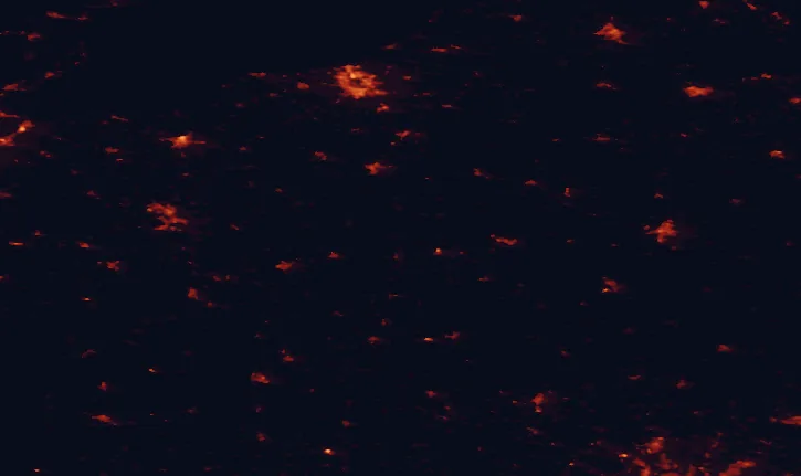 Satellite night-light map of the 100 km around the Nossentiner/Schwinzer Heide, with Rostock, Schwerin and Neubrandenburg marked
