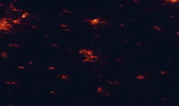 Satellite night-light map of the 50 km around Schwerin, with Wismar, Parchim and Hagenow marked