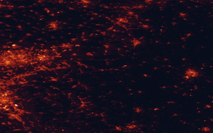 Satellite night-light map of the 100 km around Arnsberg Forest Nature Park, with Dortmund, Essen and Bochum marked