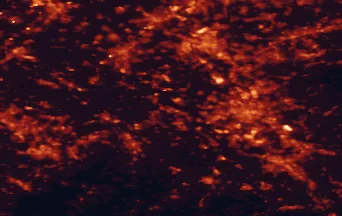 Satellite night-light map of the 50 km around Bergheim, with Köln, Düsseldorf and Mönchengladbach marked