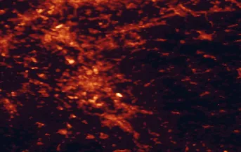Satellite night-light map of the 50 km around Bergisch Gladbach, with Köln, Düsseldorf and Wuppertal marked