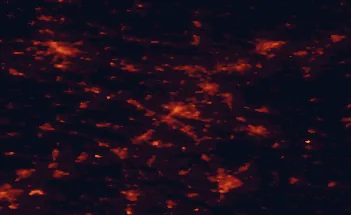 Satellite night-light map of the 50 km around Bielefeld, with Gütersloh, Osnabrück and Paderborn marked