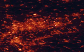 Satellite night-light map of the 50 km around Bochum, with Essen, Dortmund and Gelsenkirchen marked