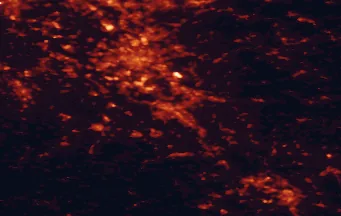Satellite night-light map of the 50 km around Bonn, with Köln, Troisdorf and Leverkusen marked