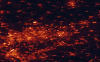 Satellite night-light map of the 50 km around Castrop-Rauxel, with Dortmund, Bochum and Essen marked