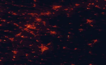 Satellite night-light map of the 50 km around Detmold, with Bielefeld, Paderborn and Gütersloh marked