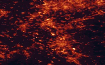 Satellite night-light map of the 50 km around Dormagen, with Köln, Düsseldorf and Essen marked