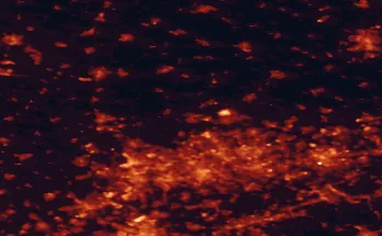 Satellite night-light map of the 50 km around Dorsten, with Essen, Duisburg and Dortmund marked
