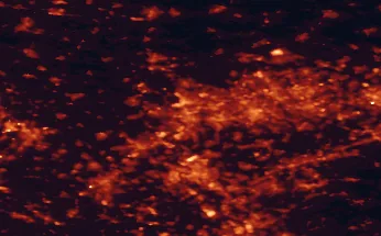 Satellite night-light map of the 50 km around Duisburg, with Essen, Düsseldorf and Oberhausen marked