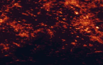 Satellite night-light map of the 50 km around Düren, with Köln, Düsseldorf and Aachen marked
