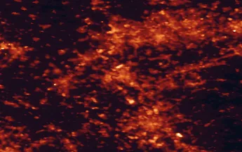 Satellite night-light map of the 50 km around Düsseldorf, with Köln, Duisburg and Essen marked
