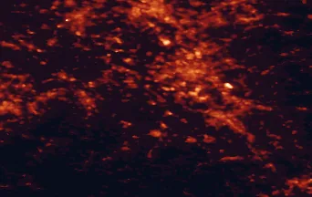 Satellite night-light map of the 50 km around Erftstadt, with Köln, Düsseldorf and Bonn marked