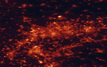 Satellite night-light map of the 50 km around Essen, with Duisburg, Bochum and Düsseldorf marked
