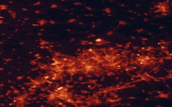 Satellite night-light map of the 50 km around Gladbeck, with Essen, Duisburg and Dortmund marked