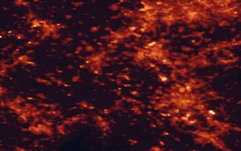 Satellite night-light map of the 50 km around Grevenbroich, with Köln, Düsseldorf and Mönchengladbach marked