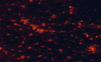 Satellite night-light map of the 50 km around Gronau, with Enschede, Münster and Hengelo marked