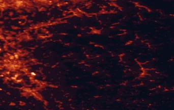 Satellite night-light map of the 50 km around Gummersbach, with Köln, Wuppertal and Bonn marked