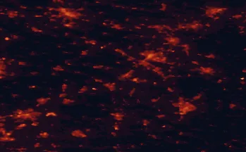 Satellite night-light map of the 50 km around Gütersloh, with Bielefeld, Paderborn and Hamm marked