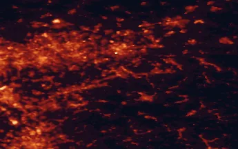 Satellite night-light map of the 50 km around Hagen, with Dortmund, Essen and Bochum marked