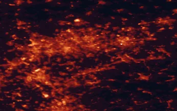 Satellite night-light map of the 50 km around Hattingen, with Essen, Bochum and Dortmund marked
