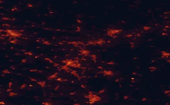 Satellite night-light map of the 50 km around Herford, with Bielefeld, Bad Salzuflen and Osnabrück marked