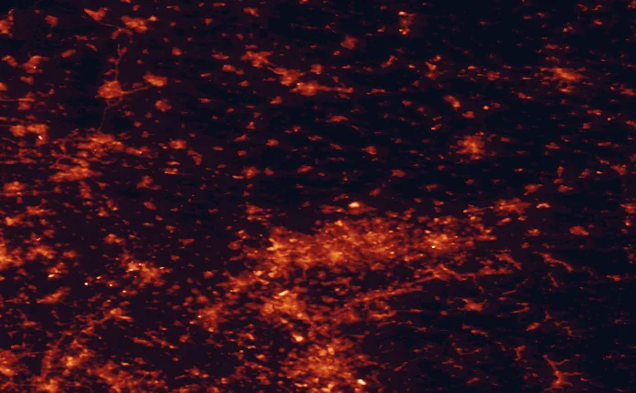 Satellite night-light map of the 100 km around Hohe Mark Nature Park, with Essen, Köln and Duisburg marked