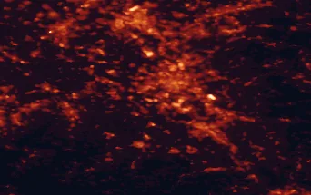 Satellite night-light map of the 50 km around Hürth, with Köln, Düsseldorf and Bonn marked