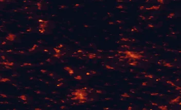 Satellite night-light map of the 50 km around Ibbenbueren, with Münster, Osnabrück and Rheine marked