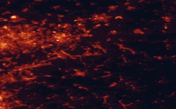 Satellite night-light map of the 50 km around Iserlohn, with Dortmund, Bochum and Hagen marked