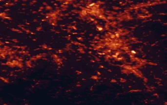 Satellite night-light map of the 50 km around Kerpen, with Köln, Düsseldorf and Bonn marked