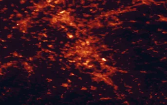 Satellite night-light map of the 50 km around Köln, with Düsseldorf, Bonn and Leverkusen marked