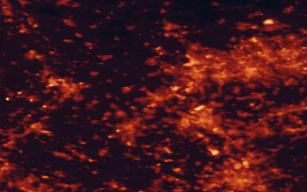 Satellite night-light map of the 50 km around Krefeld, with Düsseldorf, Duisburg and Köln marked