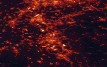 Satellite night-light map of the 50 km around Leverkusen, with Köln, Düsseldorf and Essen marked