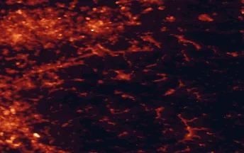 Satellite night-light map of the 50 km around Lüdenscheid, with Köln, Dortmund and Essen marked
