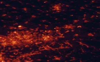 Satellite night-light map of the 50 km around Lünen, with Dortmund, Essen and Bochum marked