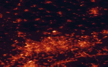 Satellite night-light map of the 50 km around Marl, with Essen, Dortmund and Bochum marked